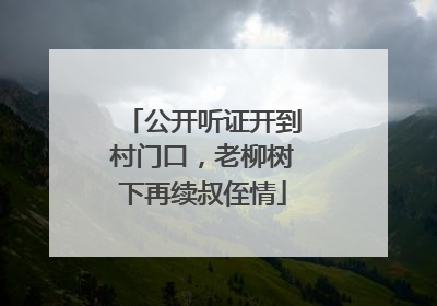 公开听证开到村门口，老柳树下再续叔侄情