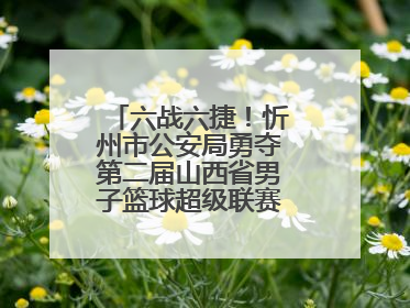 六战六捷！忻州市公安局勇夺第二届山西省男子篮球超级联赛忻州赛区市直职工组比赛冠军