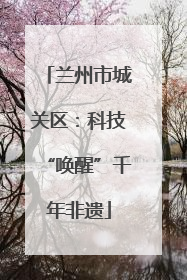 兰州市城关区：科技“唤醒”千年非遗