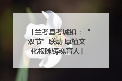 兰考县考城镇：“双节”联动 厚植文化根脉铸魂育人