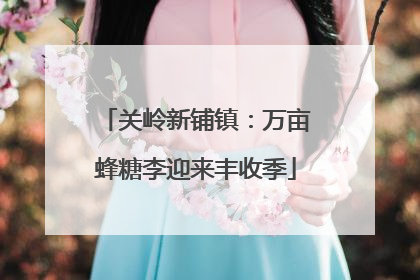 关岭新铺镇：万亩蜂糖李迎来丰收季