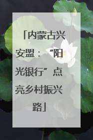 内蒙古兴安盟：“阳光银行”点亮乡村振兴路