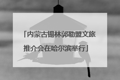 内蒙古锡林郭勒盟文旅推介会在哈尔滨举行