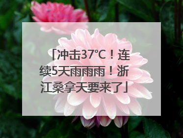 冲击37℃！连续5天雨雨雨！浙江桑拿天要来了