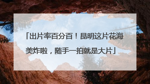 出片率百分百！昆明这片花海美炸啦，随手一拍就是大片