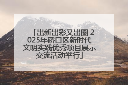 出新出彩又出圈 2025年硚口区新时代文明实践优秀项目展示交流活动举行