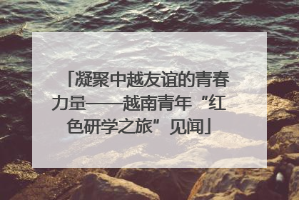 凝聚中越友谊的青春力量——越南青年“红色研学之旅”见闻