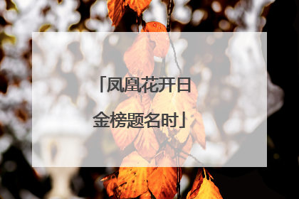 凤凰花开日 金榜题名时