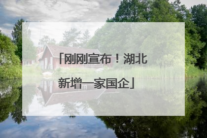 刚刚宣布！湖北新增一家国企