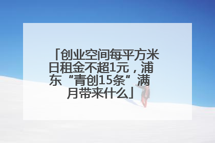 创业空间每平方米日租金不超1元，浦东“青创15条”满月带来什么