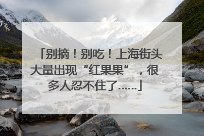 别摘！别吃！上海街头大量出现“红果果”，很多人忍不住了……