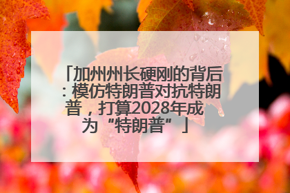 加州州长硬刚的背后：模仿特朗普对抗特朗普，打算2028年成为“特朗普”