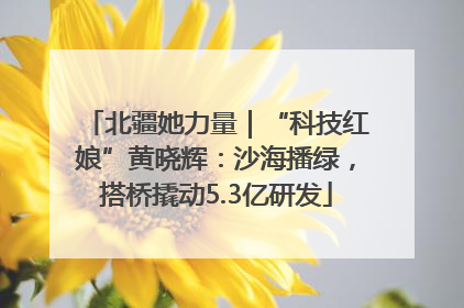 北疆她力量｜“科技红娘”黄晓辉：沙海播绿，搭桥撬动5.3亿研发