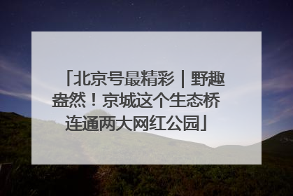 北京号最精彩｜野趣盎然！京城这个生态桥连通两大网红公园