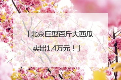 北京巨型百斤大西瓜卖出1.4万元！