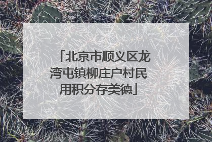 北京市顺义区龙湾屯镇柳庄户村民用积分存美德