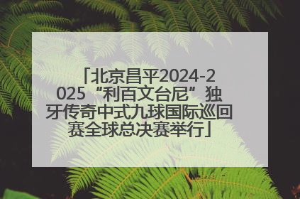 北京昌平2024-2025“利百文台尼”独牙传奇中式九球国际巡回赛全球总决赛举行