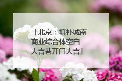 北京：填补城南商业综合体空白 大吉巷开门大吉
