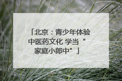 北京：青少年体验中医药文化 学当“家庭小郎中”