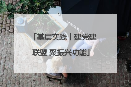 基层实践丨建党建联盟 聚振兴功能