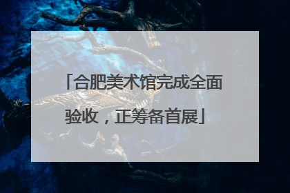合肥美术馆完成全面验收，正筹备首展