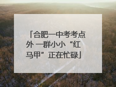 合肥一中考考点外 一群小小“红马甲”正在忙碌