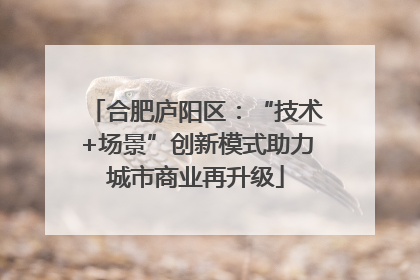合肥庐阳区：“技术+场景”创新模式助力城市商业再升级