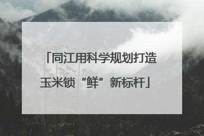 同江用科学规划打造玉米锁“鲜”新标杆