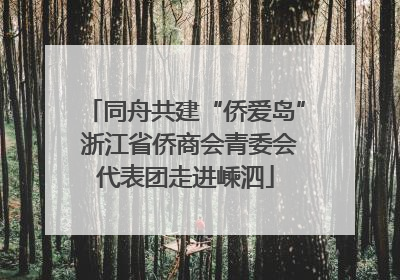 同舟共建“侨爱岛” 浙江省侨商会青委会代表团走进嵊泗