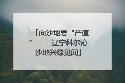向沙地要“产值”——辽宁科尔沁沙地兴绿见闻