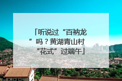 听说过“百衲龙”吗？黄湖青山村“花式”过端午