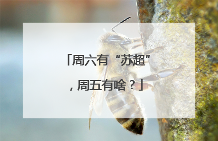 周六有“苏超”，周五有啥？