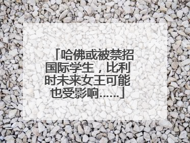 哈佛或被禁招国际学生，比利时未来女王可能也受影响……