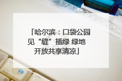 哈尔滨：口袋公园见“缝”插绿 绿地开放共享清凉