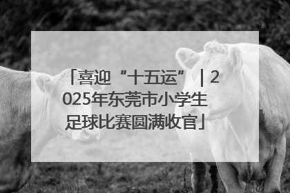 喜迎“十五运”｜2025年东莞市小学生足球比赛圆满收官