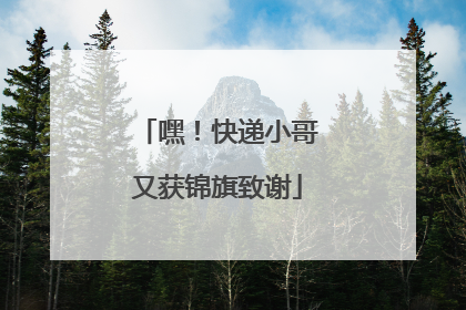 嘿！快递小哥又获锦旗致谢