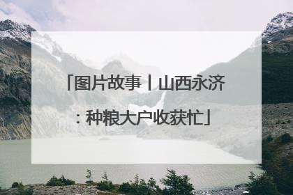 图片故事丨山西永济：种粮大户收获忙