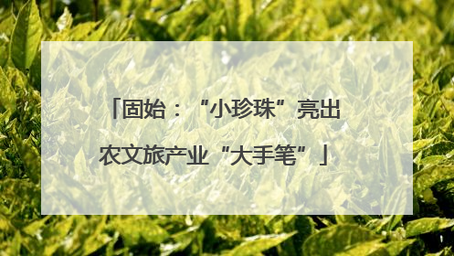 固始：“小珍珠”亮出农文旅产业“大手笔”