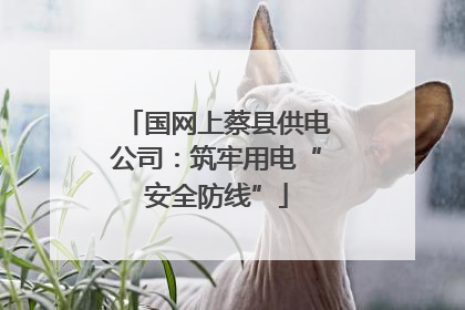 国网上蔡县供电公司：筑牢用电“安全防线”