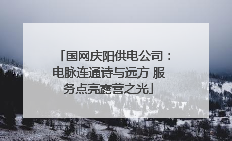 国网庆阳供电公司：电脉连通诗与远方 服务点亮露营之光