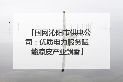 国网沁阳市供电公司：优质电力服务赋能凉皮产业飘香