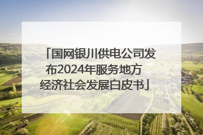 国网银川供电公司发布2024年服务地方经济社会发展白皮书