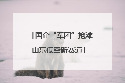 国企“军团”抢滩山东低空新赛道