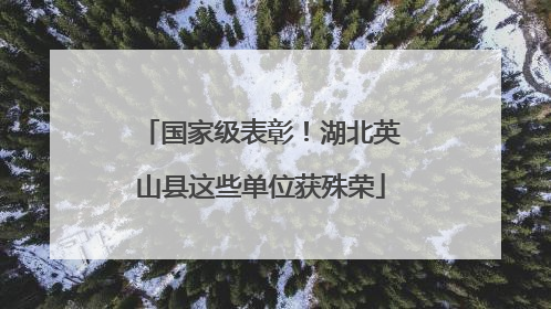 国家级表彰！湖北英山县这些单位获殊荣