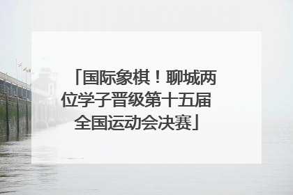 国际象棋！聊城两位学子晋级第十五届全国运动会决赛