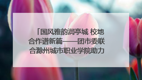 国风雅韵润亭城 校地合作谱新篇——团市委联合滁州城市职业学院助力传统文化“破圈”绽放