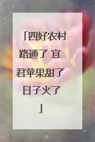 四好农村路通了 宜君苹果甜了 日子火了
