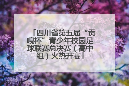 四川省第五届“贡嘎杯”青少年校园足球联赛总决赛（高中组）火热开赛