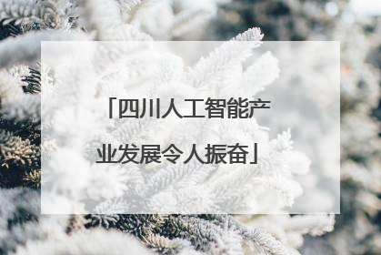 四川人工智能产业发展令人振奋