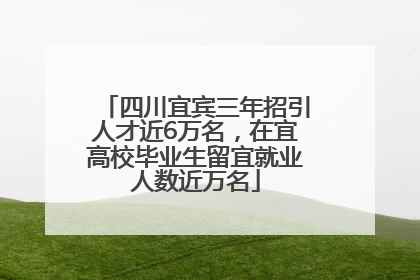 四川宜宾三年招引人才近6万名，在宜高校毕业生留宜就业人数近万名